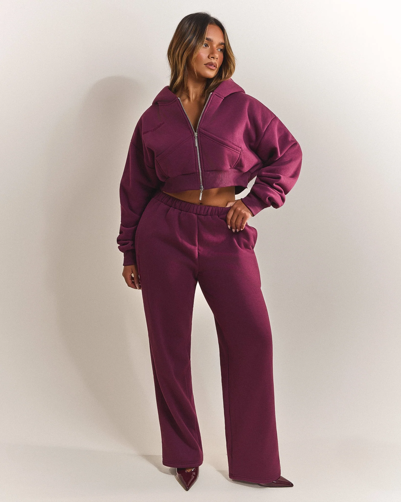 The Classics Cropped Zip Hoodie in Plum - Image 4